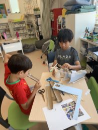 SUMMER INQUIRY PROJECTS